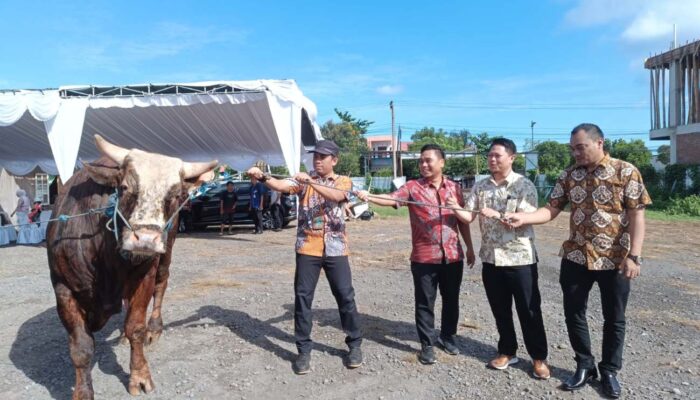 Bank Dinar dan MIM Foundation Salurkan 22 Sapi Qurban ke Pelosok NTB