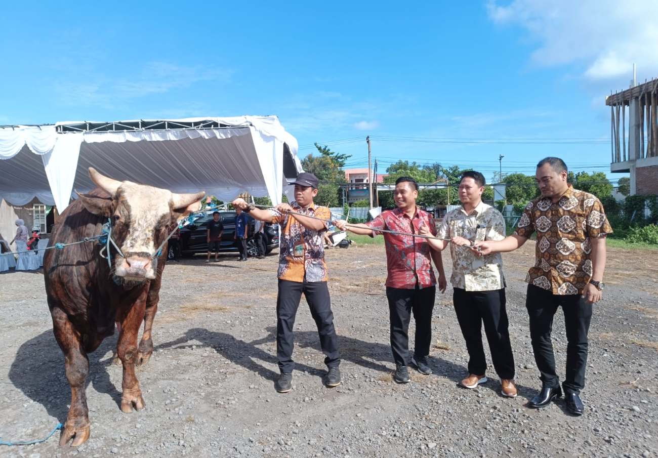 Bank Dinar dan MIM Foundation menyalurkan sebanyak 22 ekor sapi qurban ke Pulau Lombok dan Pulau Sumbawa. (Foto Din)