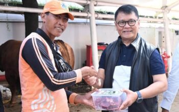 Maknai Semangat Iduladha 1447 H, Jasa Raharja Hadir Berbagi untuk Masyarakat melalui Penyaluran Paket Daging Kurban